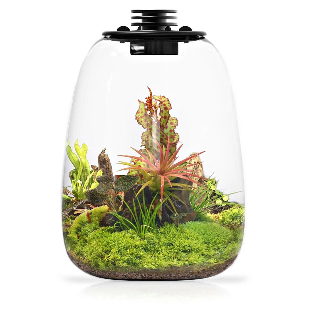 Bioloark Bio Bottle QD205 cm21,7x26h - terrario a bolla in vetro con sistema di aerazione e illuminazione LED