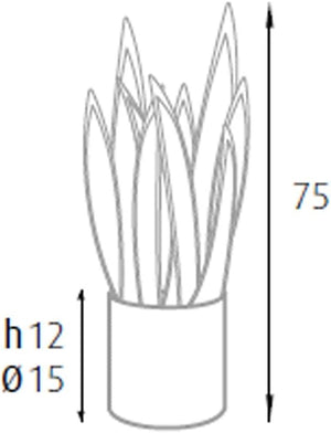 P2150075 - Pianta sansevieria 21 foglie