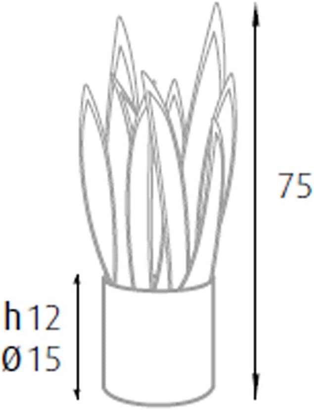 P2150075 - Pianta sansevieria 21 foglie