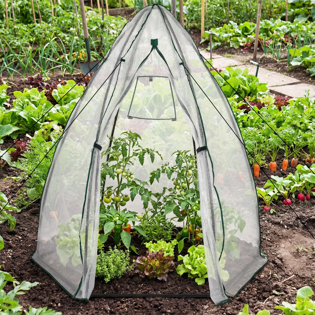 Mini serra portatile pe bolle pesante porta cerniera finestra rete pavimento-Serra cupola piccola esterno kit 160x139x182 cm