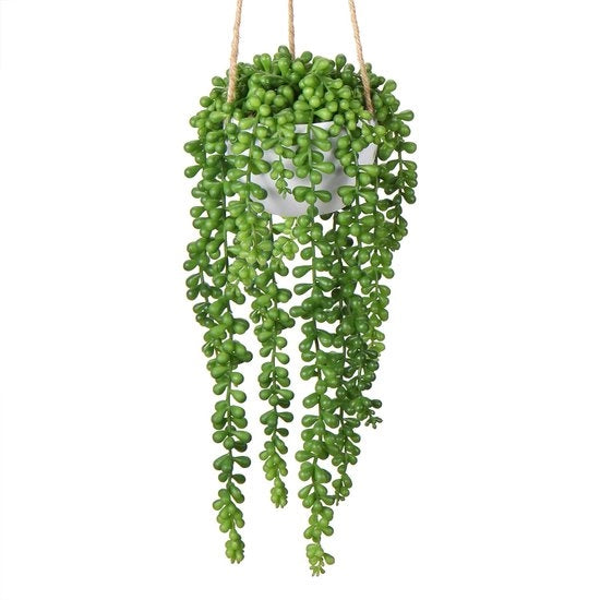 Piante artificiali per decorazione di parete Piante artificiali per interni e esterni