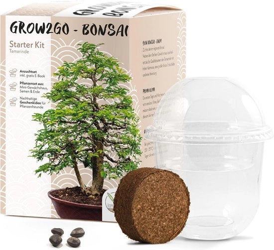 Impianto per la coltivazione di bonsai con eBook gratuito – Regalo sostenibile per gli appassionati di piante
