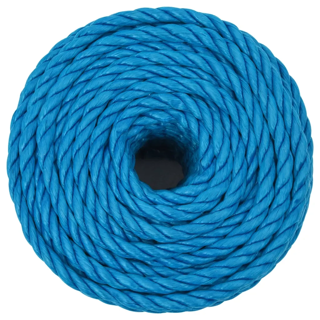 Corda da Lavoro Blu 24 mm 50 m in Polipropilene 152994