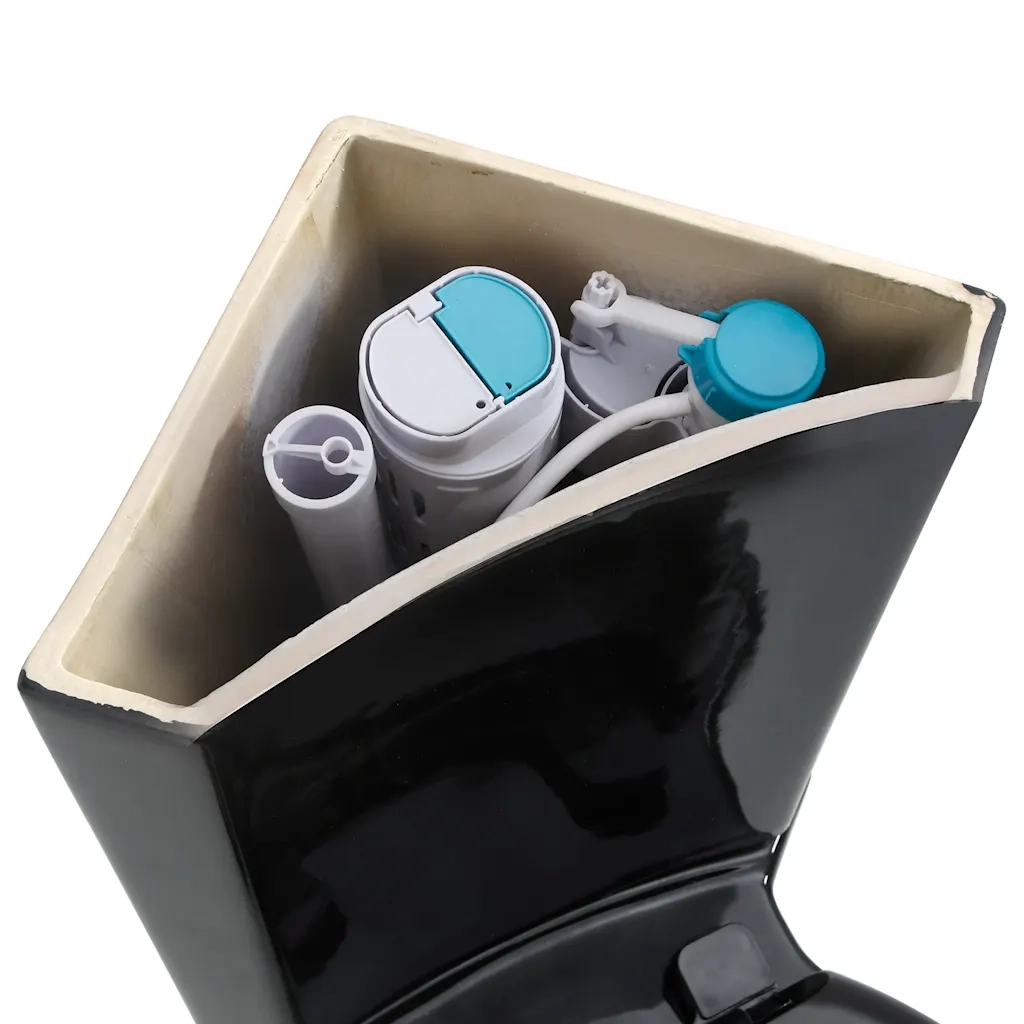 Vaso WC in Ceramica da Bagno ad Angolo Nero CFW9193059