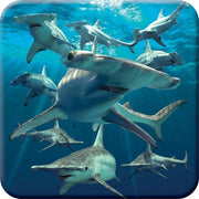 Mat kurk 3D Hammerhead Shark con effetto lenticolare, oceano sottomarino. Matrice per bicchieri con disegno originale, autorizzato dall'artista David Penfound, con presa antiscivolo.