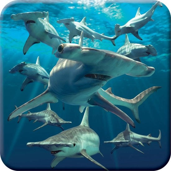 Mat kurk 3D Hammerhead Shark con effetto lenticolare, oceano sottomarino. Matrice per bicchieri con disegno originale, autorizzato dall'artista David Penfound, con presa antiscivolo.