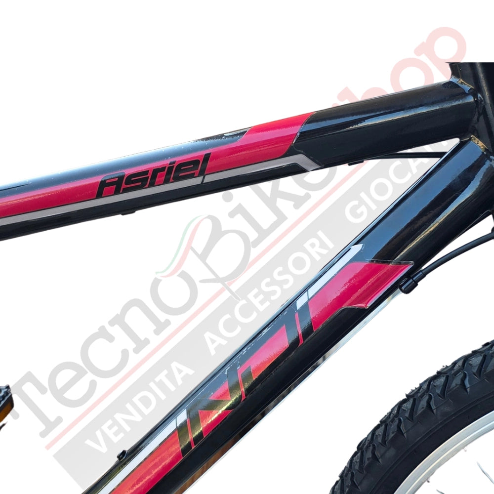 Bici Uomo Masciaghi MTB Indi 26" 18 Speed