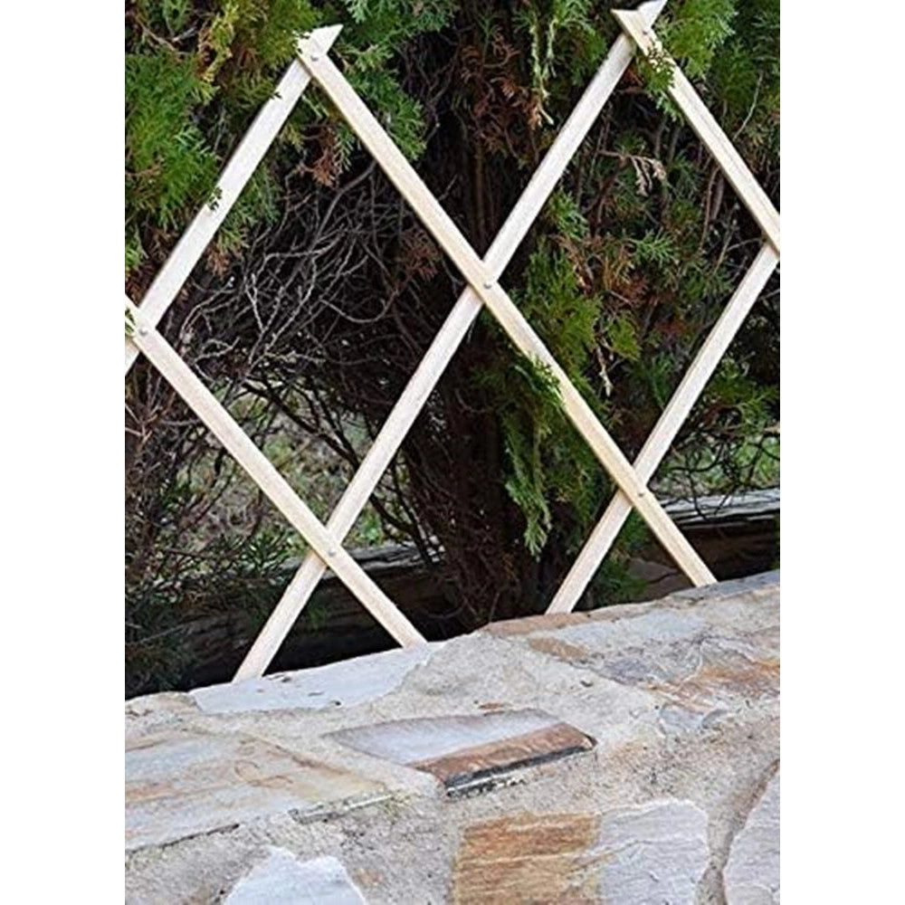 Trade Shop - Traliccio Estensibile In Legno Naturale Chiaro Piante Rampicanti Giardino 180x90cm 222733 -