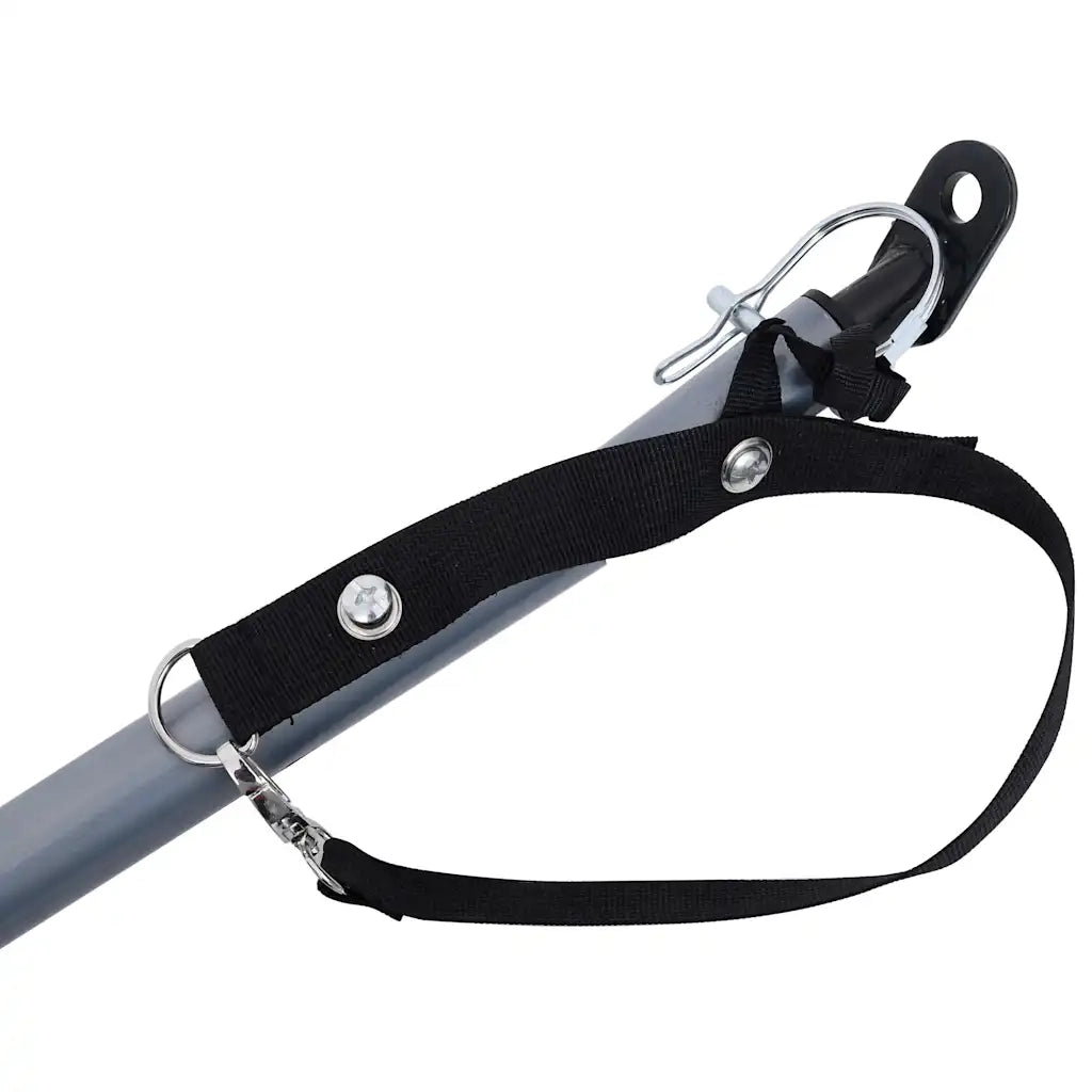 Rimorchio da Bici Grigio e Blu 65 kg CFW5124569