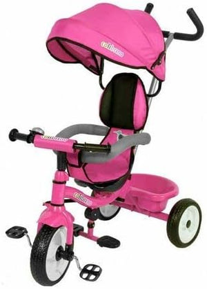 Triciclo Bambini 1 anno Passeggino Fronte Mamma e Strada Leggero | Treciclo Regolabile Bimbo Bimba 9 mesi Colibrino Rosa