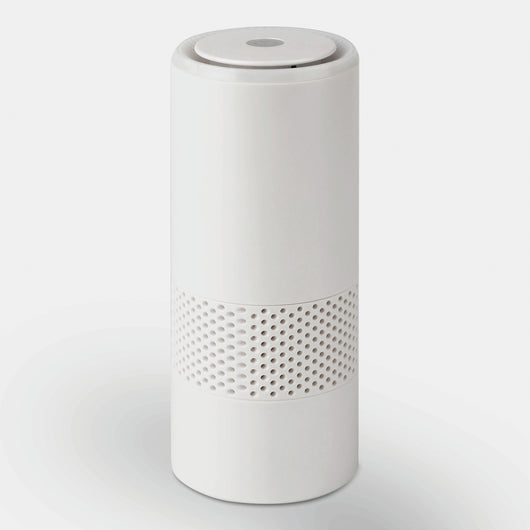 Purificatore Handy X Circa 10Mq 2 Vel.Filtro Hepa H11 - Poly Pool