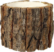 Vaso di legno per piante grasse - Vaso di legno naturale di betulla per piante grasse - Ciotola per fiori per balcone - Decorazione per giardino