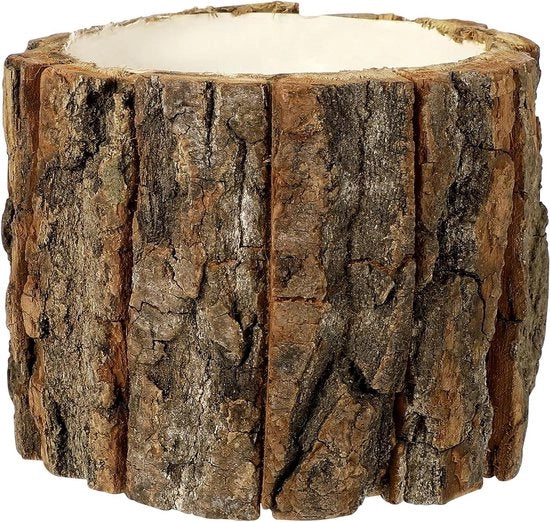 Vaso di legno per piante grasse - Vaso di legno naturale di betulla per piante grasse - Ciotola per fiori per balcone - Decorazione per giardino