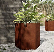 Set di 2 vasi per piante con fondo aperto e forma esagonale, vasche per piante in acciaio resistente all'usura per giardino e terrazza