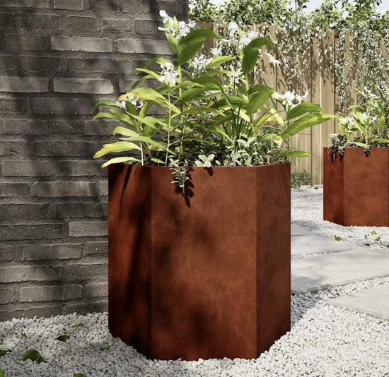 Set di 2 vasi per piante con fondo aperto e forma esagonale, vasche per piante in acciaio resistente all'usura per giardino e terrazza