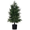 Albero di Cedro Artificiale 80 cm, Albero in Vaso in Plastica per Vivai, Foglie Non-Scolorenti e Resistenti al Sole, Pianta Finta per Interni ed Esterni per Casa, Ufficio e Ingresso