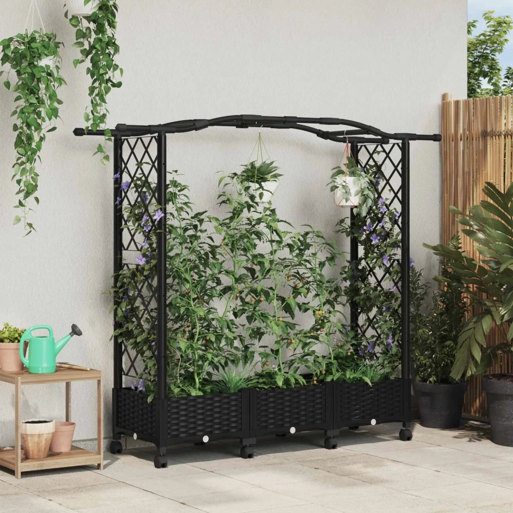 Letto Rialzato con Griglia e Tetto Nero 169 x 40 x 129 cm PP 3423097