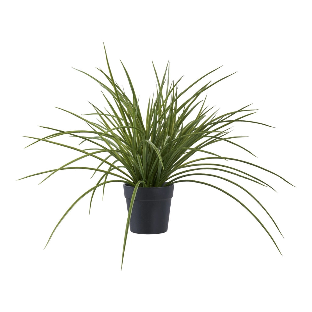 Pianta Artificiale Lovely, Verde, Plastica PE, 51x51x45 cm