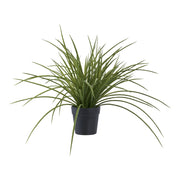 Pianta Artificiale Lovely, Verde, Plastica PE, 51x51x45 cm