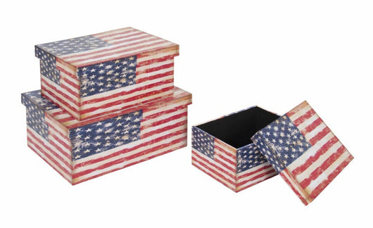 Contenitore Box Usa Misura Large Bizzotto - Bizzotto