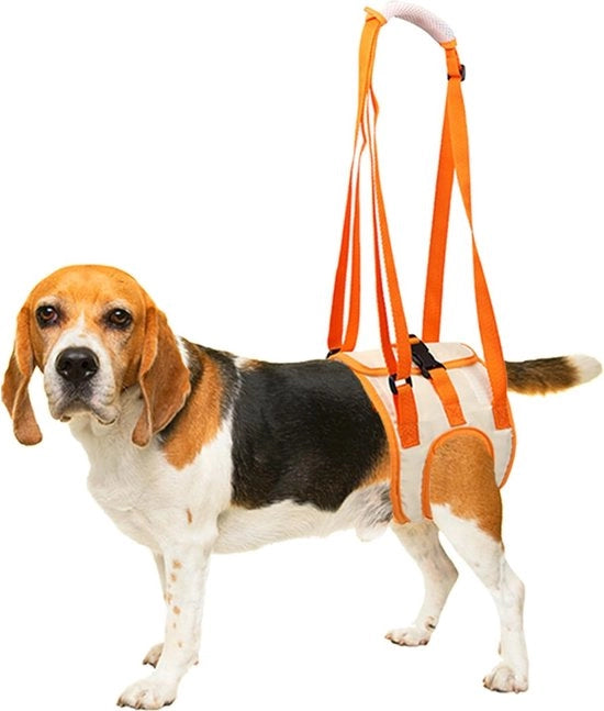 Attrezzi per sostegno per le zampe posteriori - supporto per zampe posteriori, cinghia di trasporto Aiuta i cani con zampe posteriori deboli, aiutante per cani con problemi alle zampe, per cani piccoli e medi con lesioni o disabilità