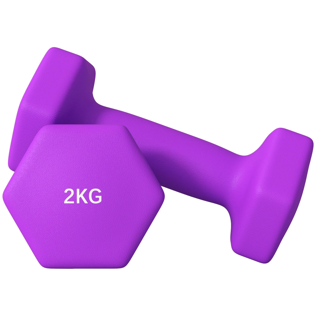 Manubri Esagonali Antiscivolo 2x2 kg ¨C zephmum ¨C Viola Metallo Plastica 16x7.5x7.5 cm