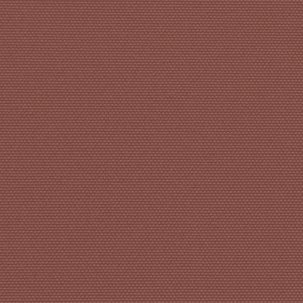 Tenda da Sole Laterale Retrattile Marrone 180x300 cm 4004344