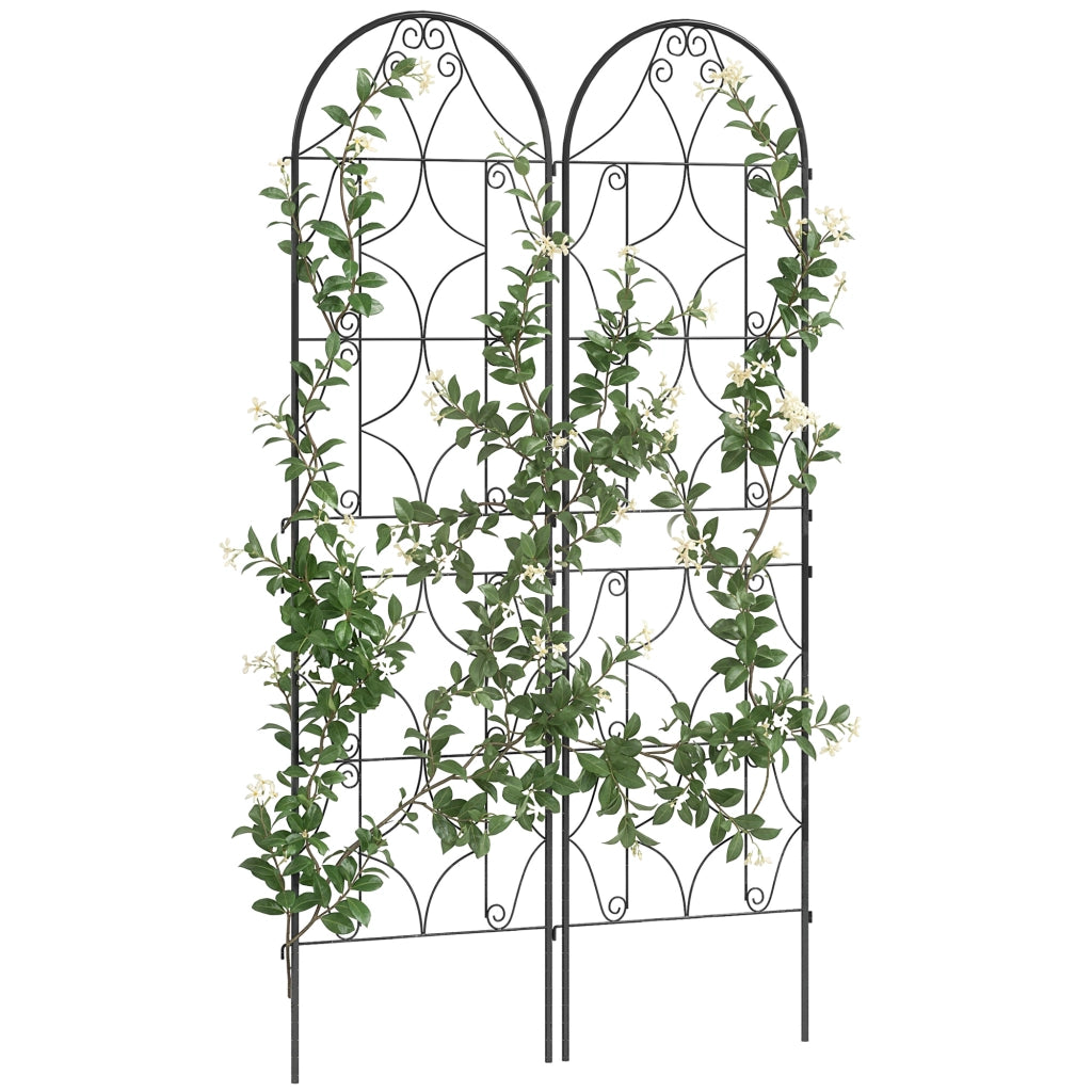 Griglia per piante rampicanti ¨C Zephmum ¨C Nero 50x180 cm
