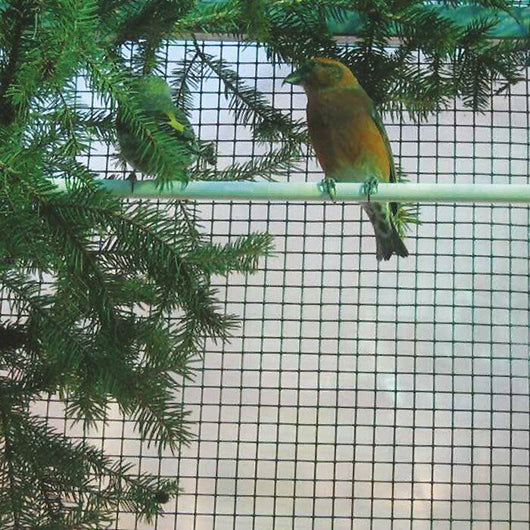 Rete Metallica Plastificata Maglia Quadra 5 Metri Altezza 100Cm - Biacchi Ettore