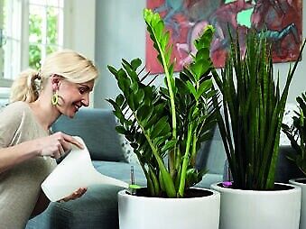 Sistema Di Irrigazione Per Vasi Da 35 A 50 Diametro Piante Aquaflora Mini - G.F.
