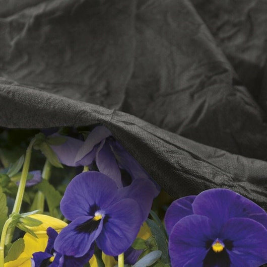 Telo Tnt Extra Nero 70 Grammi1,6X10 - Biacchi Ettore