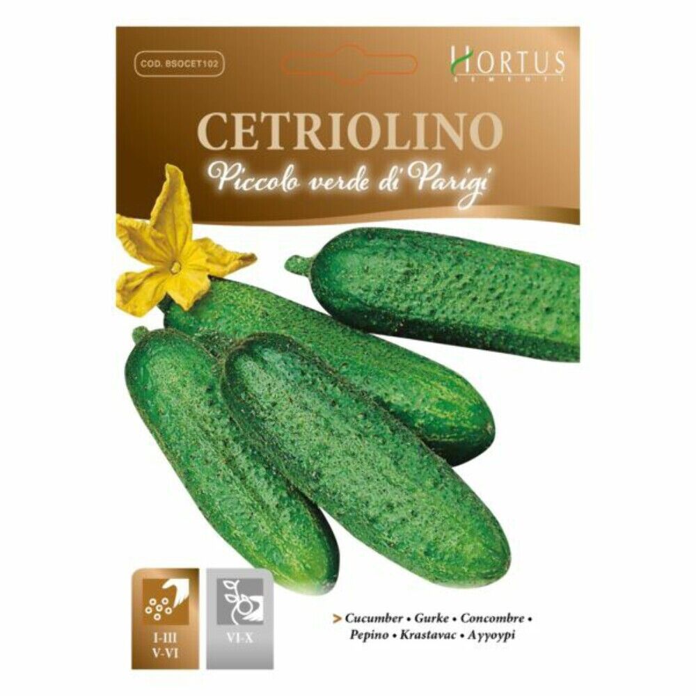Cetriolino Piccolo Verde Di Parigi Set 5 Pezzi - Magnani Sementi
