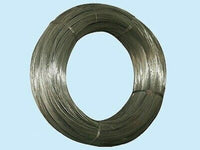 Filo Zincato Da 0,9 Mm Rotolo Da 5 Metri - Fraschetti