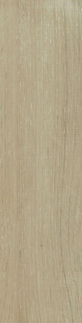Piastrella Rivestimento Acacia 155X605 Beige - Interno 39