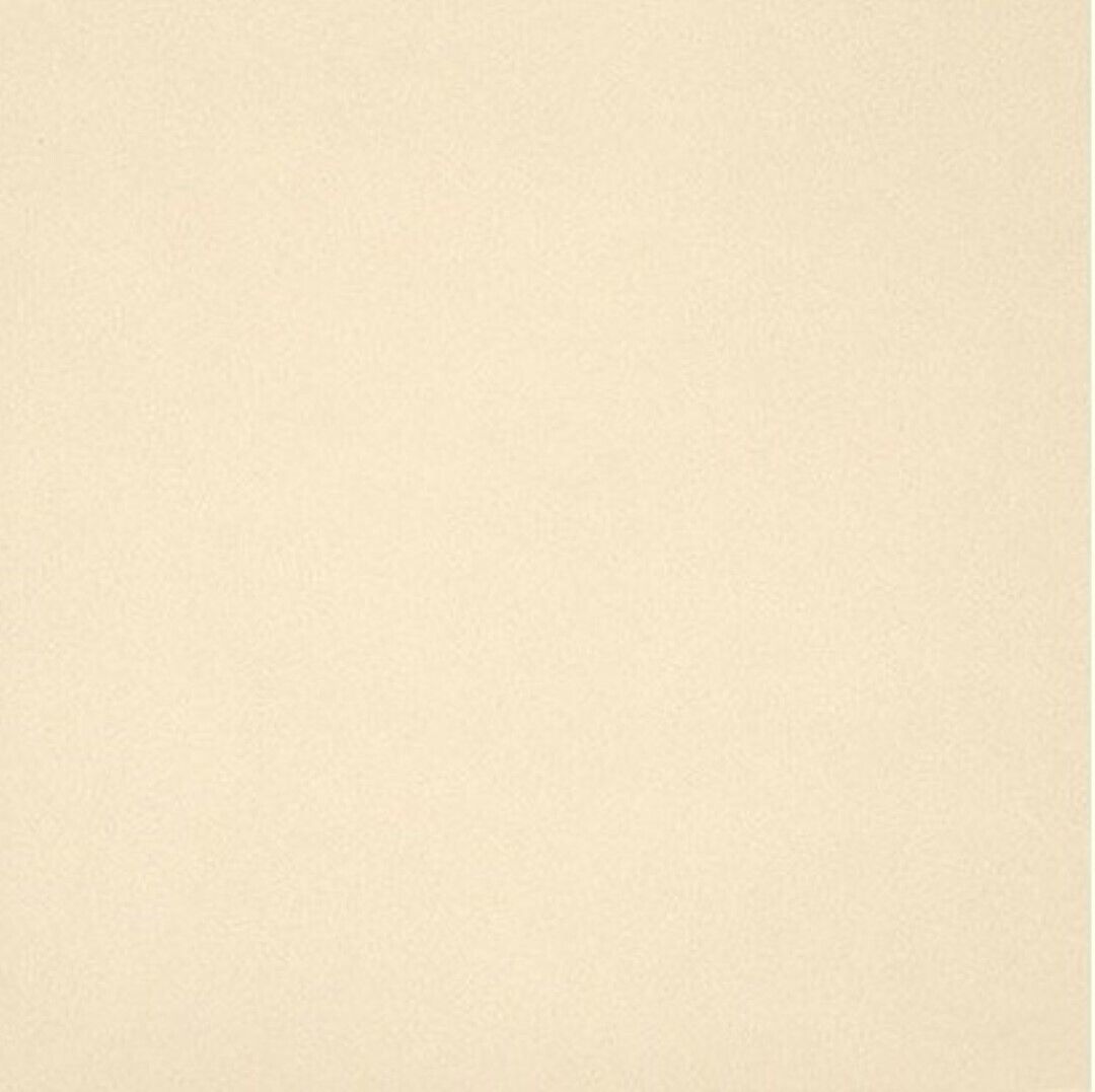 Gres Porcellanato Unicolore Bianco A11/12 Mm 20X20 11/1 0,88 Mq - Casalgrande