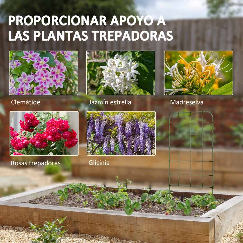 Supporto per piante rampicanti ¨C zephmum ¨C verde 40x90 cm