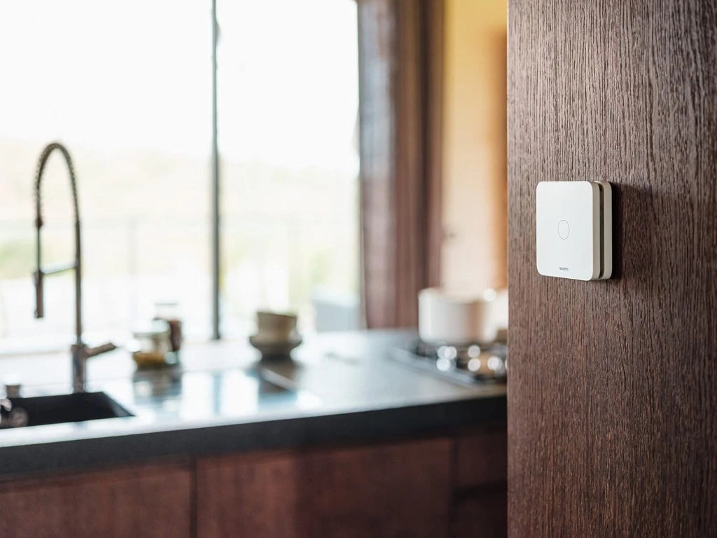 NETATMO Rilevatore di Monossido di Carbonio Intelligente. Wifi.