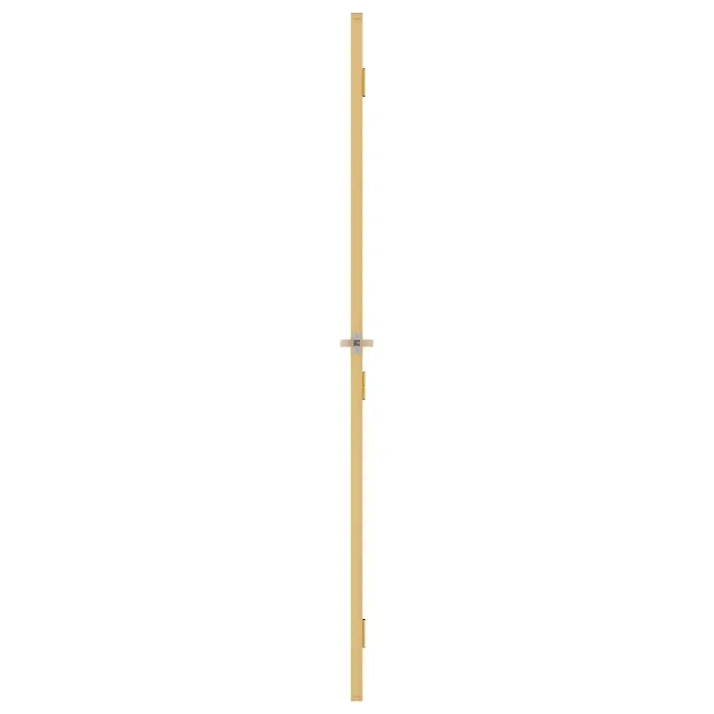 Porta Interni Sottile Oro 76x201,5cm Vetro Temperato Alluminio 155136