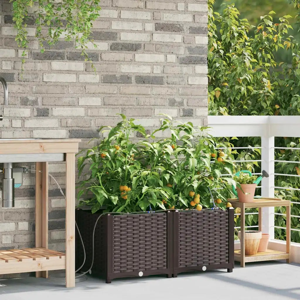 2 pz Fioriere | Cassetta per fiori | Vaso da giardino Marrone 80 x 40 x 37,5 cm Plastica