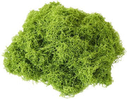 CHDZSW 100g Kunstmos Decorativo, Decorazione con Kunstmos, Kunstmos per Knitting, Kunstmos Antisettico, Kunstmos per Decorazione, Kunstmos per Modellismo, Kunstmos per Bonsai, Kunstmos per DIY Model Building