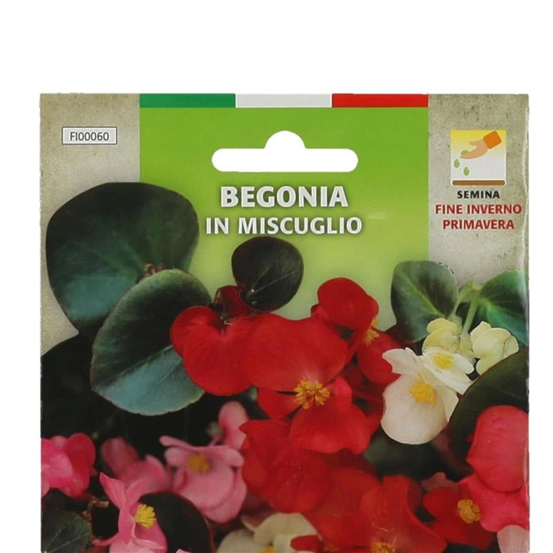 BUSTA SEMENTI DI FIORI DI BEGONIA IN MISCUGLIO