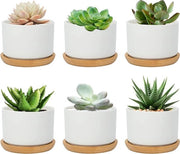 Set di 6 vasi per piante in ceramica bianca con coperchio in bambù e foro di drenaggio, design semplice, diametro 7,5 cm