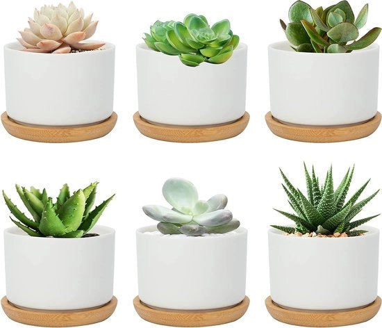 Set di 6 vasi per piante in ceramica bianca con coperchio in bambù e foro di drenaggio, design semplice, diametro 7,5 cm