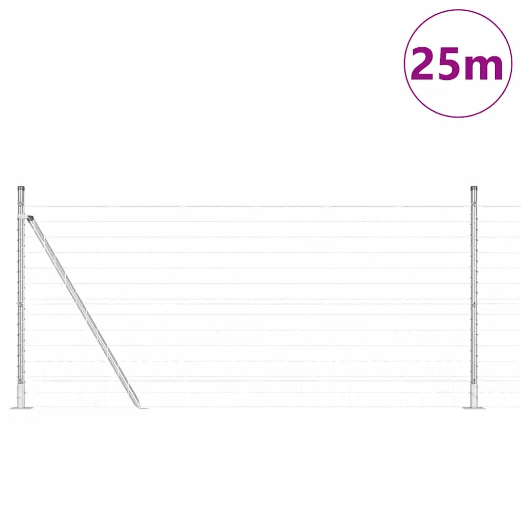 Recinzione con Posto Argento 1 x 25 m Acciaio