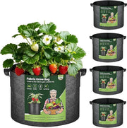 Set di 5 contenitori per piante in PVC di 10 galloni con maniglia - contenitori pesanti e resistenti non tessuti per la coltivazione di patate, pomodori, orchidee e gigli