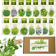 Collezione di semi di piante - 14 varietà - Semi di piante biologici - Senza OGM - Set di semi di piante aromatiche - Semi di piante - Scatola di semi di Nojus