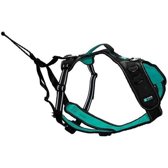 Pettorina per cani - SYMBIOZ - XXS - Nera / Blu