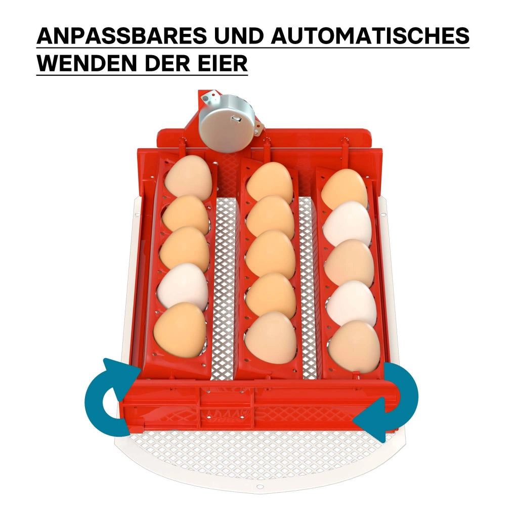 Incubatrice automatica per 15 uova, con regolazione temperatura e umidità, Covatrice