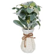 Pianta artificiale in vaso Verde Materia sintetica 30 cm Pianta  Accessorio decorativo per interni