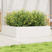 Fioriera da Giardino-Vaso da Esterno Bianca 90x90x23 cm Legno Massello di Pino